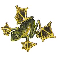 flying frog consultancy limited