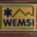 w.e.m.s.i. limited