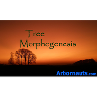 cheshire tree surgeons limited