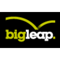 big leap marketing limited