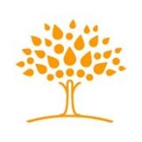 innovista international