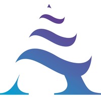 actuate partnership limited