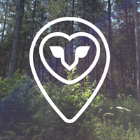 fermynwoods contemporary art limited