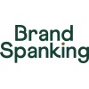 brand spanking consulting limited