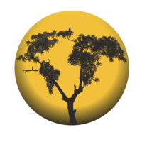 groundtruth consulting limited