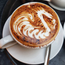 kitchen garden cafe limited