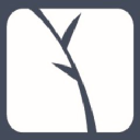 cedar telecom limited