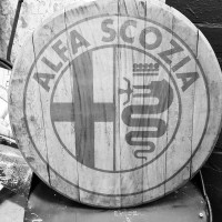 alfa scozia ltd
