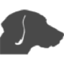 grey dog design limited