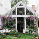 lavender green flowers limited