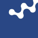 white space strategy ltd