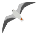 portside (builders) limited