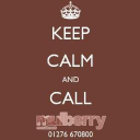 mulberry recruitment limited