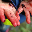 reflections nurseries ltd