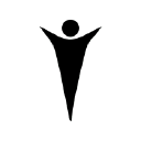 leadership insight limited