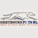 gpnl limited