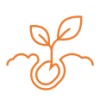 green shoots consulting limited