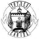 totnes caring ltd