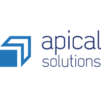 apical it solutions limited