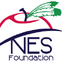 nes foundation ltd