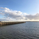 pier point torquay ltd