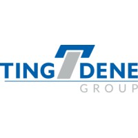 tingdene group ltd