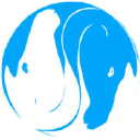 holistic equitation limited