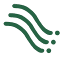 scienta consulting ltd