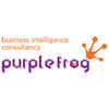 purple frog systems ltd