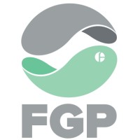 fgp surveyors limited