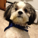 moose marketing limited