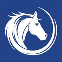 white horse surveyors limited
