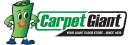 carpet giant ltd