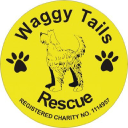 waggy tails rescue limited