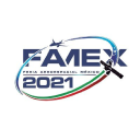 fair mex limited