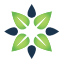 123 graham road limited