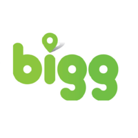 bigg group ltd