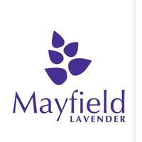 mayfield lavender limited
