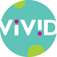 vivid toy group limited