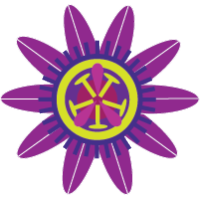 bethel health and healing network