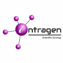 intragen limited