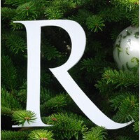 the resurgence trust