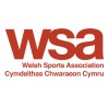 the welsh sports association ltd