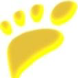 podia-clinic limited