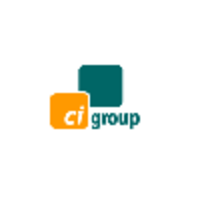 the c i group holdings limited