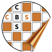 cbs (accounting) limited