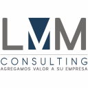 lmm consulting limited