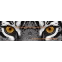 file centre document & data storage limited