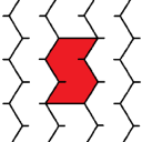 proctors transport limited