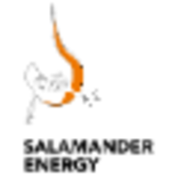salamander energy limited